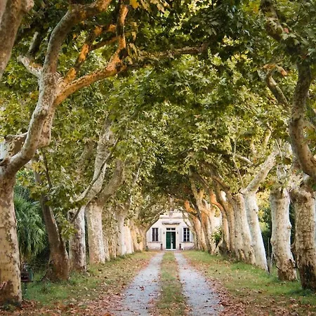 Windrose Casabianca アパート コッレサルヴェッティ