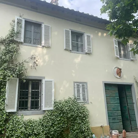 Windrose Casabianca コッレサルヴェッティ