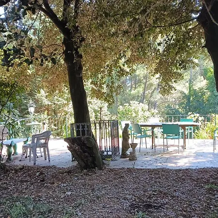 Windrose Casabianca アパート コッレサルヴェッティ