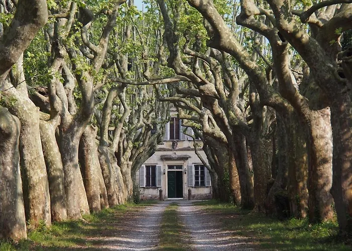 アパート Windrose Casabianca