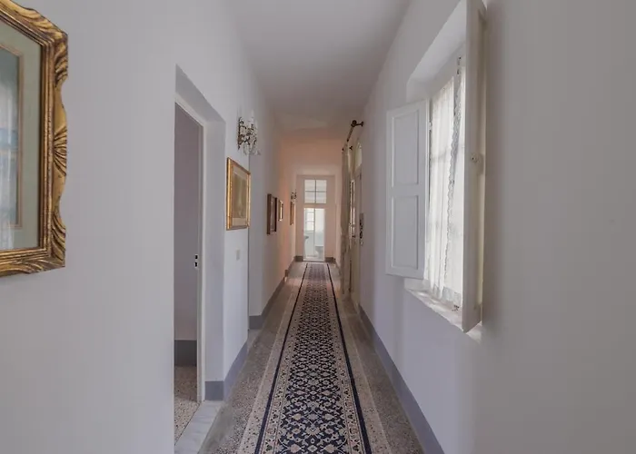 Windrose Casabianca *