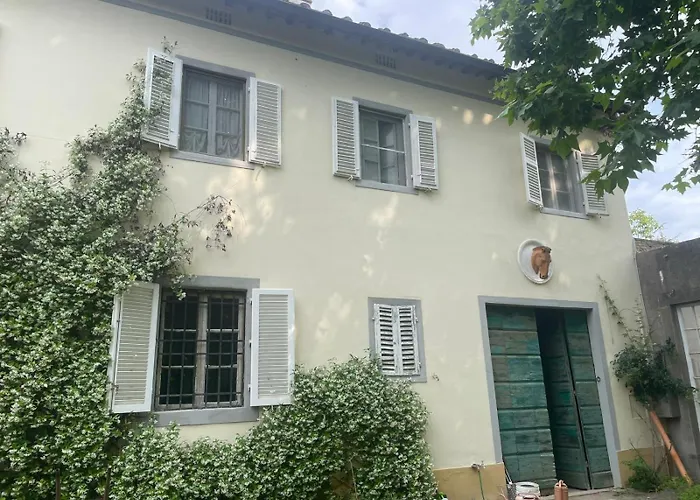 Windrose Casabianca コッレサルヴェッティ