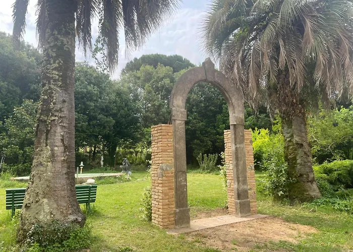 Windrose Casabianca * コッレサルヴェッティ