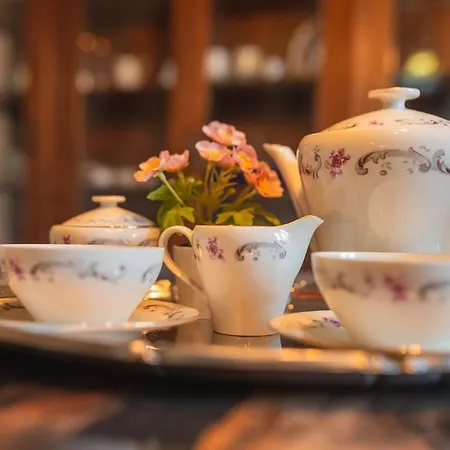 Windrose Casabianca Collesalvetti