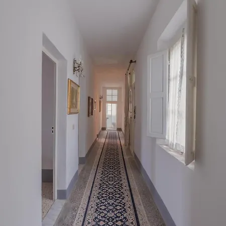 Windrose Casabianca *