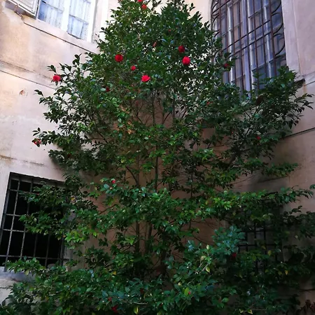 Windrose Casabianca Διαμέρισμα *
