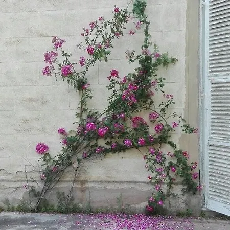 Windrose Casabianca شقة