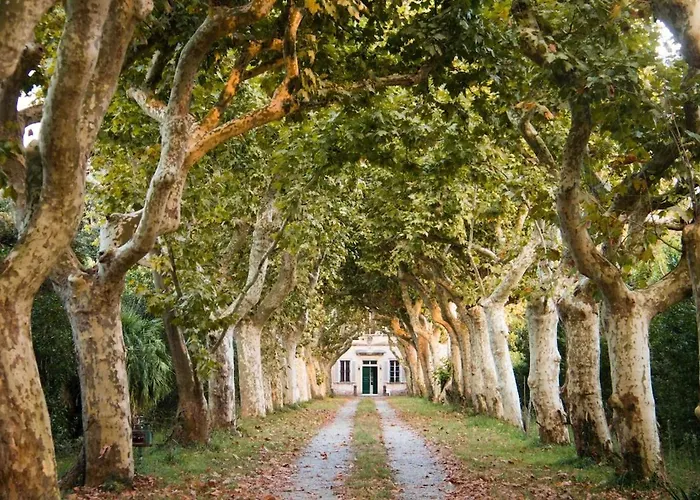 Windrose Casabianca דירה קולסלווטי