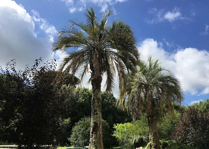 Apartament Windrose Casabianca